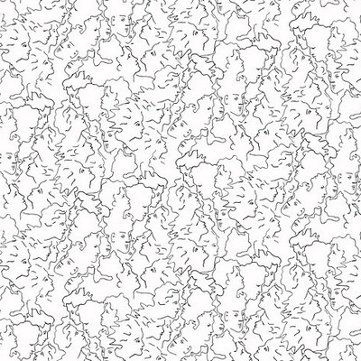 Scalamandre Wallcoverings RESSEMBLANCE IVOIRE NOIR