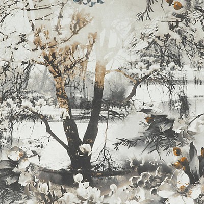 Scalamandre Wallcoverings BRUME TERRE