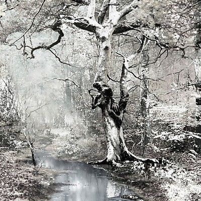 Scalamandre Wallcoverings SOUS BOIS - MURAL CREPUSCULE