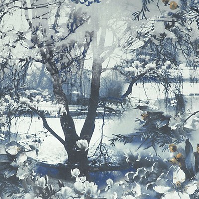 Scalamandre Wallcoverings BRUME ENCRE