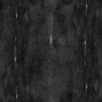 Scalamandre Wallcoverings PRECIEUX NOIR