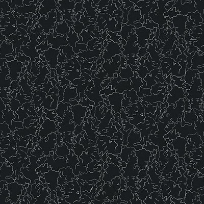 Scalamandre Wallcoverings RESSEMBLANCE ARDOISE