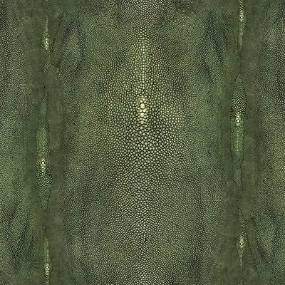 Scalamandre Wallcoverings PRECIEUX VERT