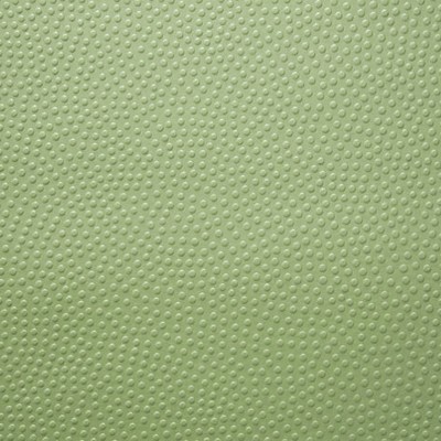 Scalamandre Wallcoverings EMBOSSE VERT