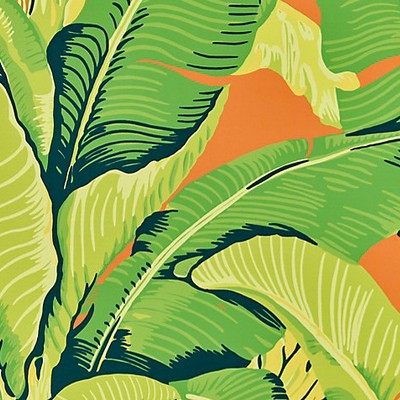 Scalamandre Wallcoverings HINSON PALM APEROL SPRITZ