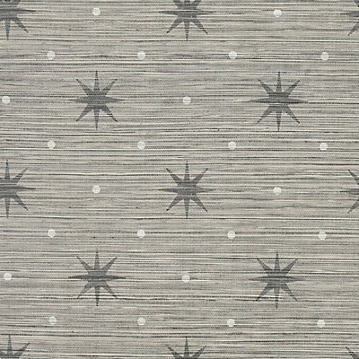 Scalamandre Wallcoverings BIG TRIXIE GREY