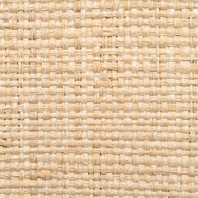 Scalamandre Wallcoverings HINSON MADAGASCAR - COARSE WHITEWASHED