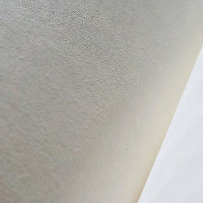 Scalamandre Wallcoverings CO.DE - BASIC NON-WOVEN GROUND OFF WHITE