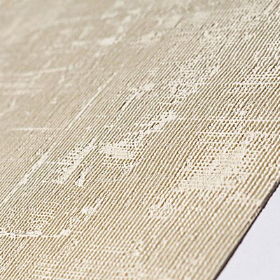 Scalamandre Wallcoverings CO.DE - ESSENTIAL VINYL GROUND IVORY