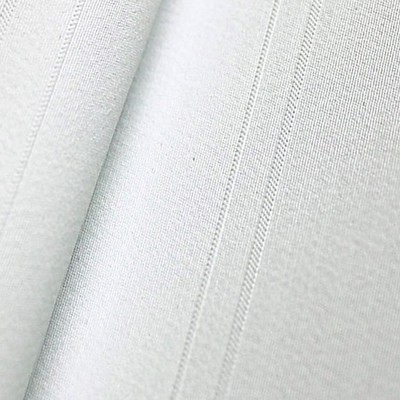 Scalamandre Wallcoverings CO.DE - PERF SHANTUNG GROUND WHITE