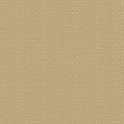 Scalamandre Wallcoverings SASHIKO HAZELNUT