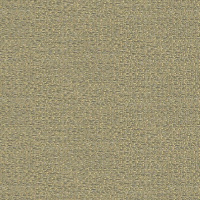 Scalamandre Wallcoverings YUKATA SILVER STRAW