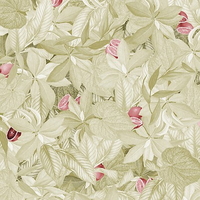 Scalamandre Wallcoverings AMALFI - MURAL MOSS PINK GRAPEFRUIT