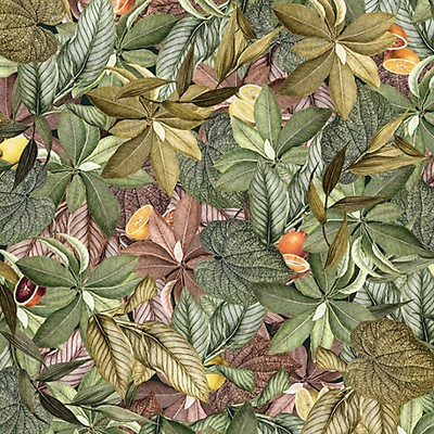 Scalamandre Wallcoverings AMALFI - MURAL CITRUS