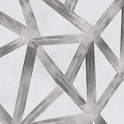 Scalamandre Wallcoverings INTERSTELLAR GRAPHITE