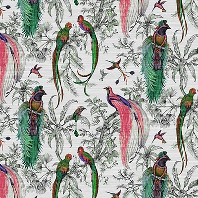 Scalamandre Wallcoverings AUDUBON EXOTICA PERSIMMON