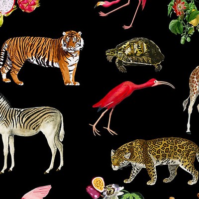 Scalamandre Wallcoverings EXOTIX BLACK