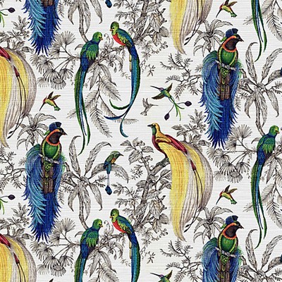 Scalamandre Wallcoverings AUDUBON EXOTICA TROPICAL