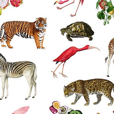 Scalamandre Wallcoverings EXOTIX NATURAL