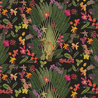 Scalamandre Wallcoverings FANTASY TROPICAL BLACK