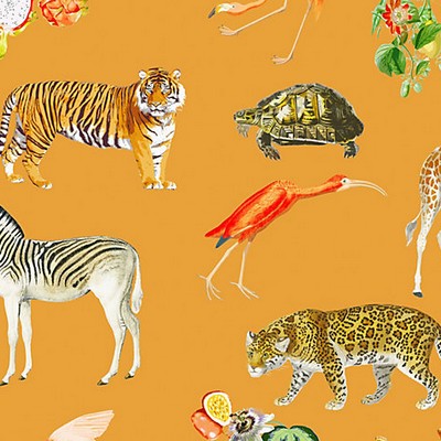 Scalamandre Wallcoverings EXOTIX TANGERINE