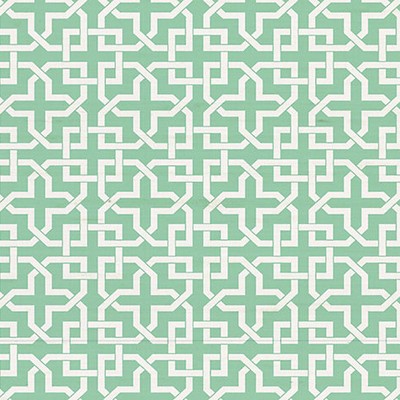 Scalamandre Wallcoverings INFINITY LIFE