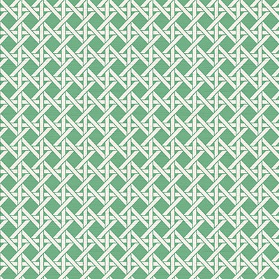 Scalamandre Wallcoverings DEVON WEAVE TROUSDALE