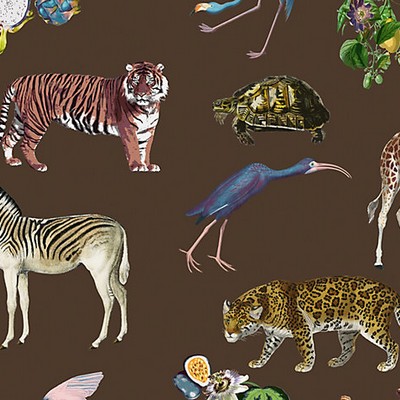 Scalamandre Wallcoverings EXOTIX BROWN