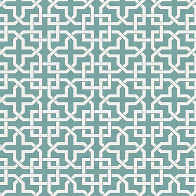 Scalamandre Wallcoverings INFINITY MONTECITO