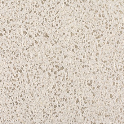 Scalamandre Wallcoverings CUMULUS CLOUDS SILVER