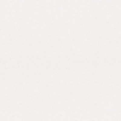 Scalamandre Wallcoverings WASHI WHITE