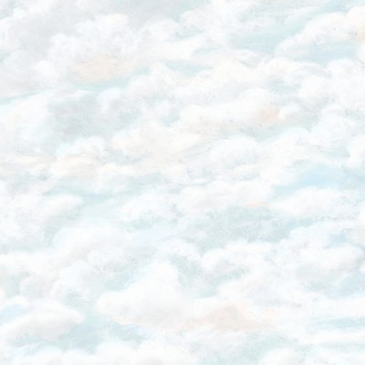 Scalamandre Wallcoverings HIMMEL - MURAL LIGHT BLUE