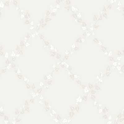 Scalamandre Wallcoverings MURGRONA STONE IVORY