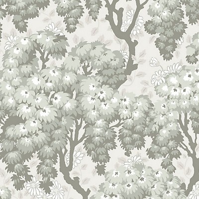 Scalamandre Wallcoverings RAGNVI SPRING GREEN