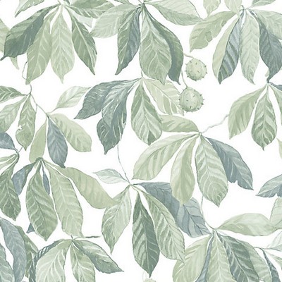 Scalamandre Wallcoverings KERSTI SPRING GREEN
