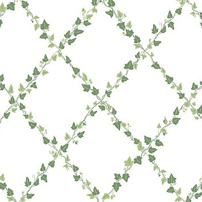 Scalamandre Wallcoverings MURGRONA GREEN