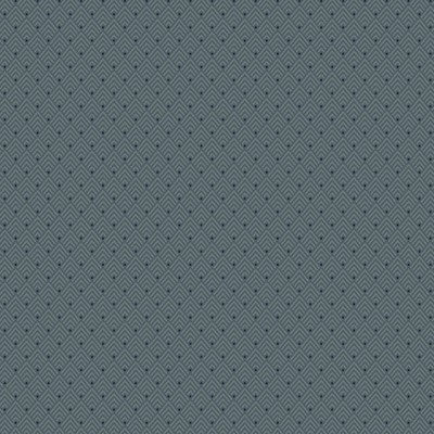 Scalamandre Wallcoverings BOK DARK BLUE