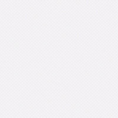 Scalamandre Wallcoverings VALV WHITE