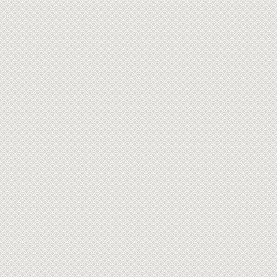 Scalamandre Wallcoverings VALV GRAY