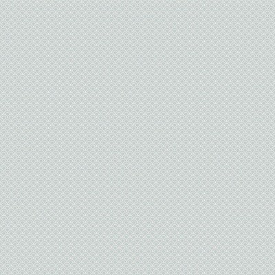 Scalamandre Wallcoverings VALV MISTY BLUE