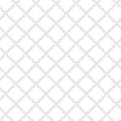 Scalamandre Wallcoverings TRELLIS GARDEN GREEN