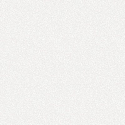 Scalamandre Wallcoverings BLADVERK GRAY