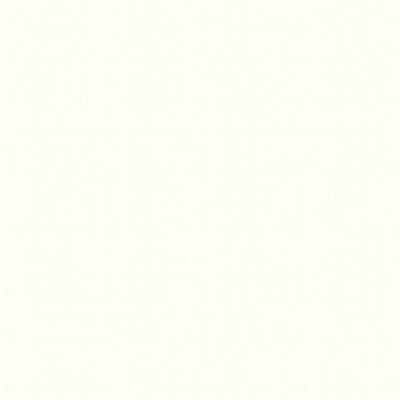 Scalamandre Wallcoverings STEN CHALK WHITE