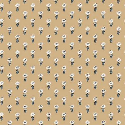 Scalamandre Wallcoverings BETTY HONEY