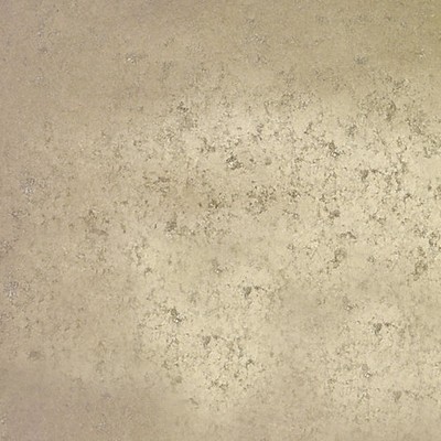 Scalamandre Wallcoverings HAND HAMMERED LEAF NICKEL