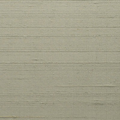 Scalamandre Wallcoverings CHANDRA SILK I MINT
