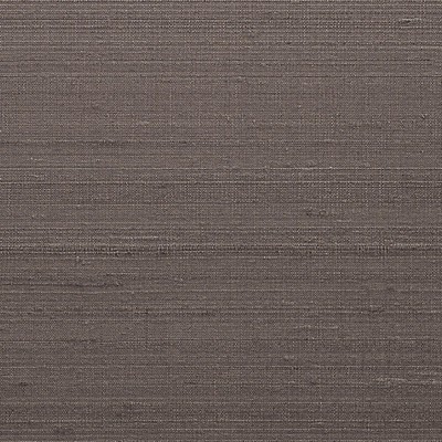 Scalamandre Wallcoverings CHANDRA SILK II MOCHA