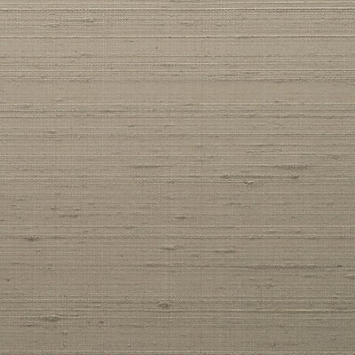 Scalamandre Wallcoverings SAGAR SILK OYSTER SHELL