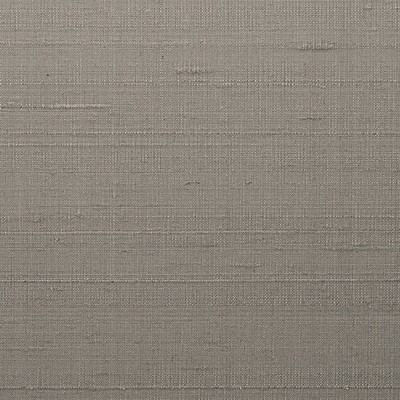 Scalamandre Wallcoverings SAGAR SILK NIGHTFALL