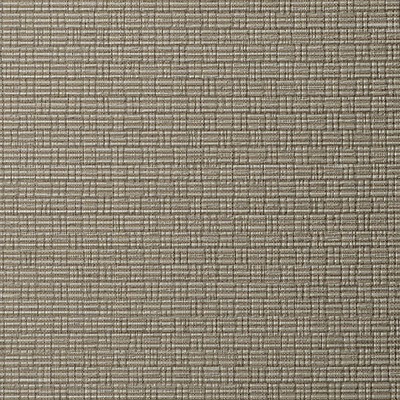 Scalamandre Wallcoverings CHENNAI SILKY DUNE